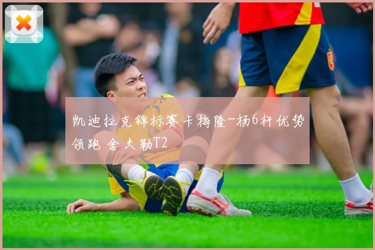 凯迪拉克锦标赛卡梅隆-杨6杆优势领跑 舍夫勒T2