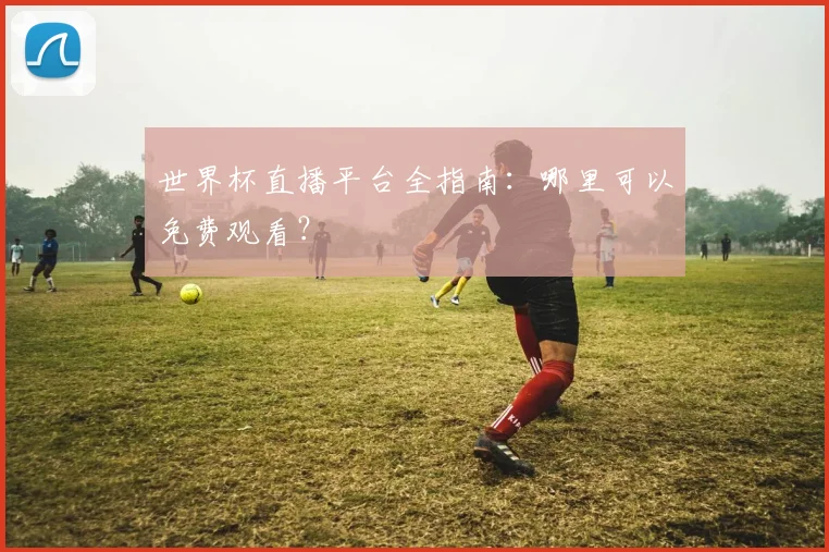 世界杯直播平台全指南：哪里可以免费观看？