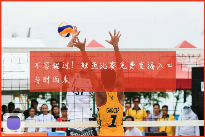 不容错过！鲸鱼比赛免费直播入口与时间表