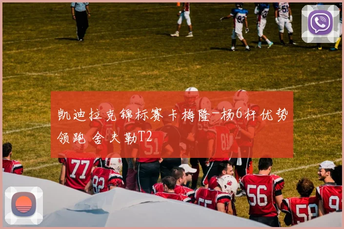 凯迪拉克锦标赛卡梅隆-杨6杆优势领跑 舍夫勒T2